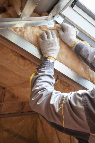 Best Fiberglass Insulation  in Danville, PA