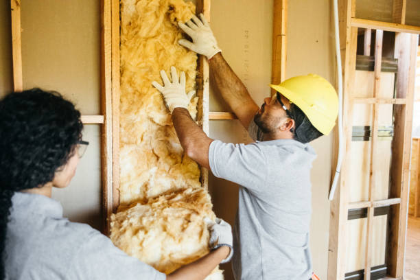 Best Affordable Insulation Services  in Danville, PA