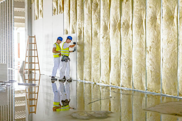 Best Insulation Contractors for Homes  in Danville, PA